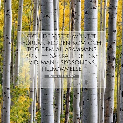 Picture 07 - Matteus 24:39 SV1917 - och de visste av intet, förrän floden kom och - Bible Verse Picture