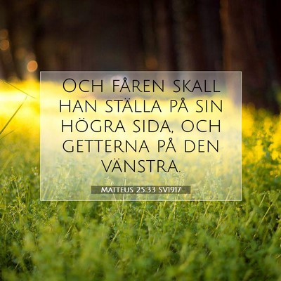 Picture 07 - Matteus 25:33 SV1917 - Och fåren skall han ställa på sin högra sida, - Bible Verse Picture