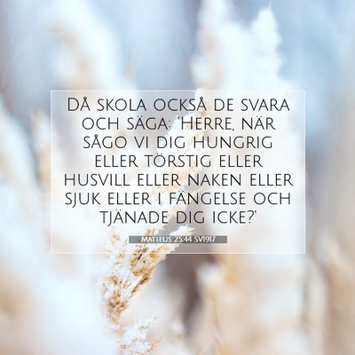 Picture 07 - Matteus 25:44 SV1917 - Då skola också de svara och säga: 'Herre, när - Bible Verse Picture