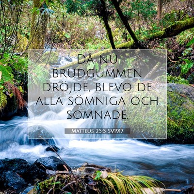 Picture 07 - Matteus 25:5 SV1917 - Då nu brudgummen dröjde, blevo de alla sömniga - Bible Verse Picture
