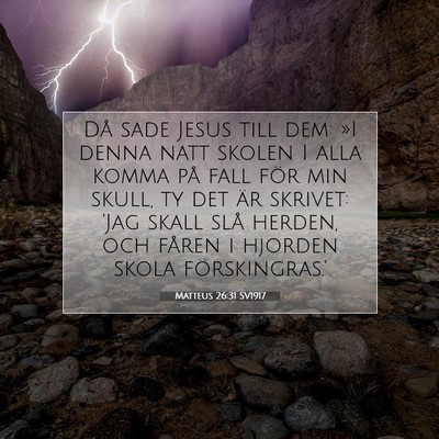 Picture 07 - Matteus 26:31 SV1917 - Då sade Jesus till dem: »I denna natt skolen I - Bible Verse Picture