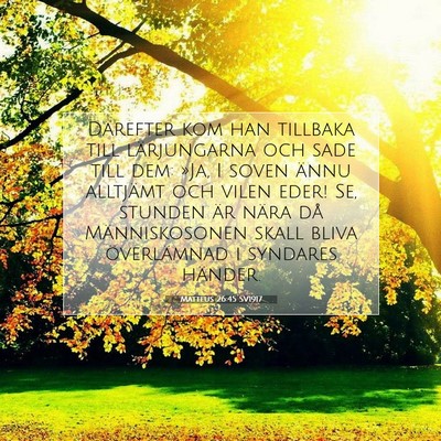 Picture 07 - Matteus 26:45 SV1917 - Därefter kom han tillbaka till lärjungarna och - Bible Verse Picture