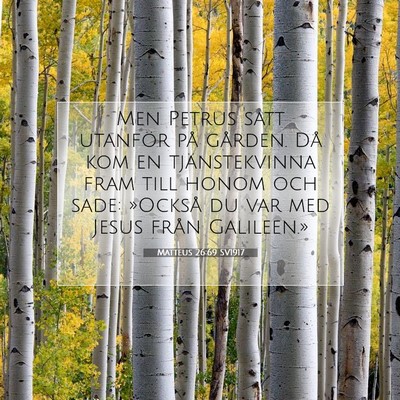 Picture 07 - Matteus 26:69 SV1917 - Men Petrus satt utanför på gården. Då kom en - Bible Verse Picture