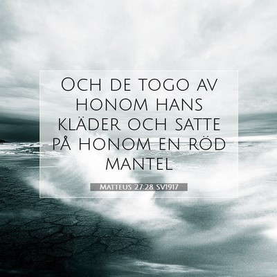 Picture 07 - Matteus 27:28 SV1917 - Och de togo av honom hans kläder och satte på - Bible Verse Picture
