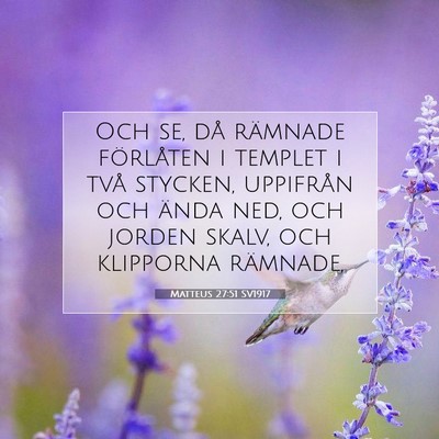 Picture 07 - Matteus 27:51 SV1917 - Och se, då rämnade förlåten i templet i två - Bible Verse Picture