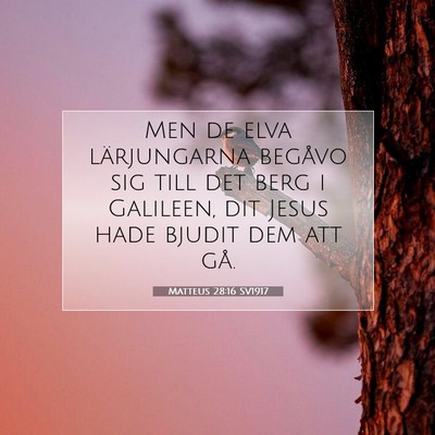 Picture 07 - Matteus 28:16 SV1917 - Men de elva lärjungarna begåvo sig till det - Bible Verse Picture