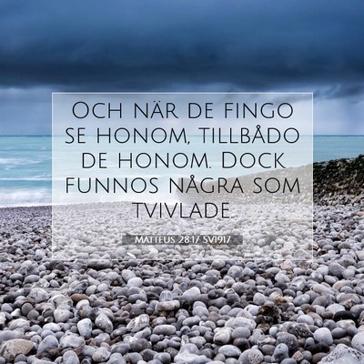 Picture 07 - Matteus 28:17 SV1917 - Och när de fingo se honom, tillbådo de honom. - Bible Verse Picture