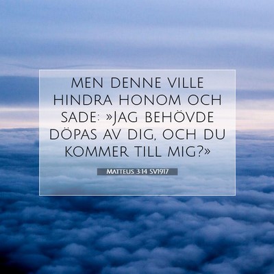 Picture 07 - Matteus 3:14 SV1917 - men denne ville hindra honom och sade: »Jag - Bible Verse Picture