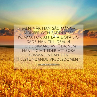 Picture 07 - Matteus 3:7 SV1917 - Men när han såg många fariséer och sadducéer - Bible Verse Picture