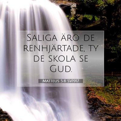 Picture 07 - Matteus 5:8 SV1917 - Saliga äro de renhjärtade, ty de skola se - Bible Verse Picture