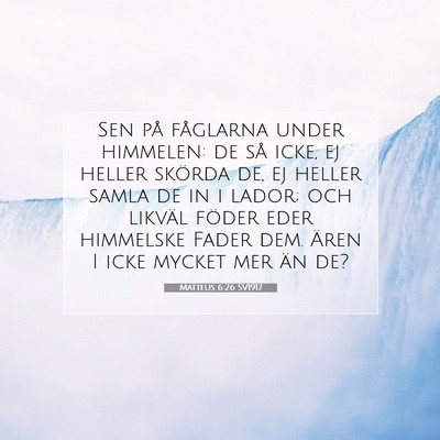 Picture 07 - Matteus 6:26 SV1917 - Sen på fåglarna under himmelen: de så icke, ej - Bible Verse Picture