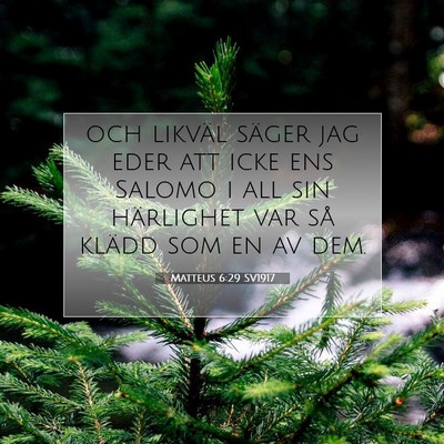 Picture 07 - Matteus 6:29 SV1917 - och likväl säger jag eder att icke ens Salomo i - Bible Verse Picture