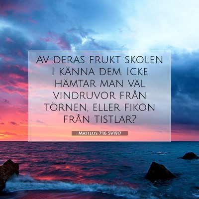 Picture 07 - Matteus 7:16 SV1917 - Av deras frukt skolen I känna dem. Icke hämtar - Bible Verse Picture