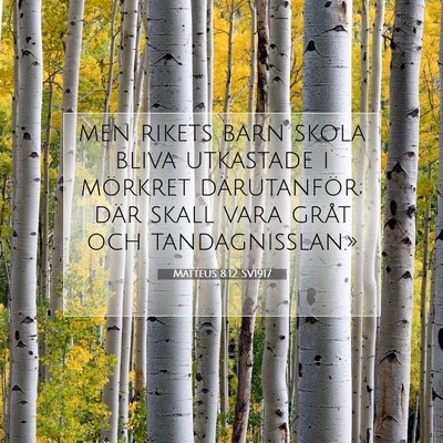 Picture 07 - Matteus 8:12 SV1917 - men rikets barn skola bliva utkastade i mörkret - Bible Verse Picture