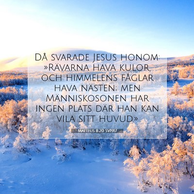 Picture 07 - Matteus 8:20 SV1917 - Då svarade Jesus honom: »Rävarna hava kulor, - Bible Verse Picture