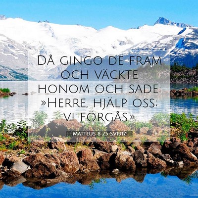 Picture 07 - Matteus 8:25 SV1917 - Då gingo de fram och väckte honom och sade: - Bible Verse Picture