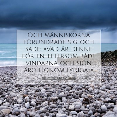 Picture 07 - Matteus 8:27 SV1917 - Och människorna förundrade sig och sade: »Vad - Bible Verse Picture