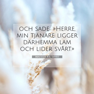 Picture 07 - Matteus 8:6 SV1917 - och sade: »Herre, min tjänare ligger därhemma - Bible Verse Picture