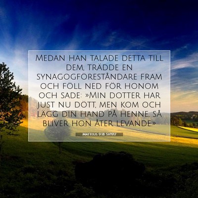 Picture 07 - Matteus 9:18 SV1917 - Medan han talade detta till dem, trädde en - Bible Verse Picture