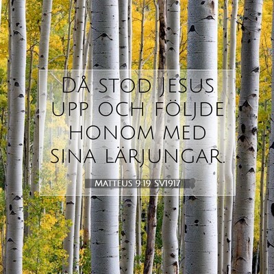 Picture 07 - Matteus 9:19 SV1917 - Då stod Jesus upp och följde honom med sina - Bible Verse Picture