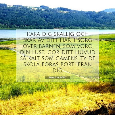 Picture 07 - Mika 1:16 SV1917 - Raka dig skallig och skär av ditt hår, i sorg - Bible Verse Picture