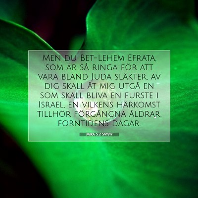 Picture 07 - Mika 5:2 SV1917 - Men du Bet-Lehem Efrata, som är så ringa för - Bible Verse Picture