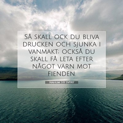 Picture 07 - Nahum 3:11 SV1917 - Så skall ock du bliva drucken och sjunka i - Bible Verse Picture