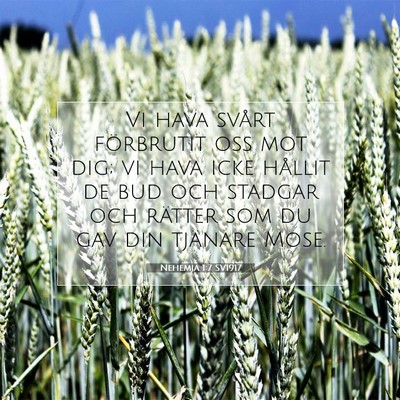 Picture 07 - Nehemja 1:7 SV1917 - Vi hava svårt förbrutit oss mot dig; vi hava - Bible Verse Picture