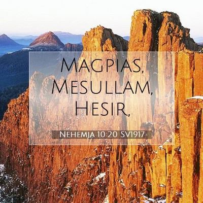 Picture 07 - Nehemja 10:20 SV1917 - Magpias, Mesullam, - Bible Verse Picture