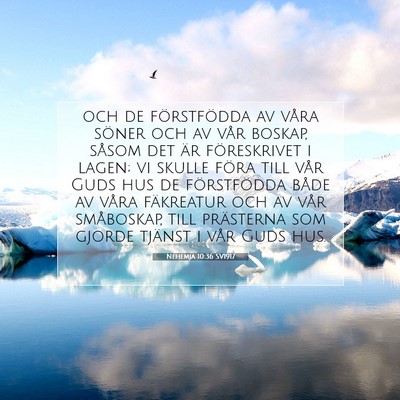 Picture 07 - Nehemja 10:36 SV1917 - och de förstfödda av våra söner och av vår - Bible Verse Picture