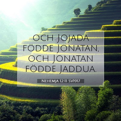Picture 07 - Nehemja 12:11 SV1917 - och Jojada födde Jonatan, och Jonatan födde - Bible Verse Picture