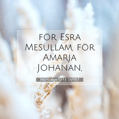 Picture 07 - Nehemja 12:13 SV1917 - för Esra Mesullam, för Amarja - Bible Verse Picture
