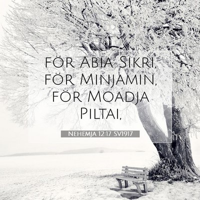 Picture 07 - Nehemja 12:17 SV1917 - för Abia Sikri, för Minjamin, för Moadja - Bible Verse Picture