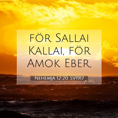 Picture 07 - Nehemja 12:20 SV1917 - för Sallai Kallai, för Amok - Bible Verse Picture