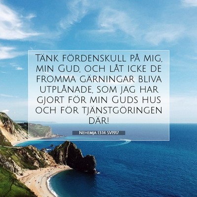 Picture 07 - Nehemja 13:14 SV1917 - Tänk fördenskull på mig, min Gud, och låt - Bible Verse Picture