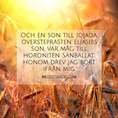 Picture 07 - Nehemja 13:28 SV1917 - Och en son till Jojada, översteprästen Eljasibs - Bible Verse Picture