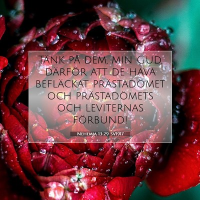 Picture 07 - Nehemja 13:29 SV1917 - Tänk på dem, min Gud, därför att de hava - Bible Verse Picture