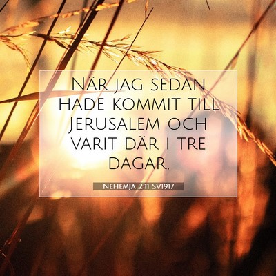 Picture 07 - Nehemja 2:11 SV1917 - När jag sedan hade kommit till Jerusalem och - Bible Verse Picture