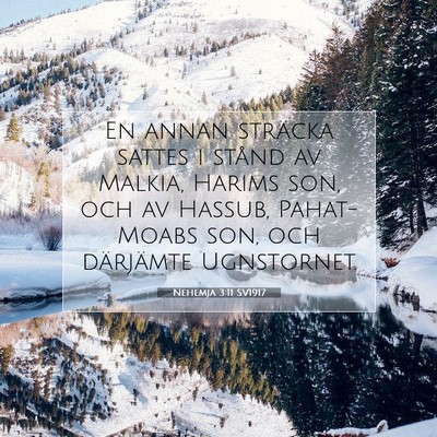 Picture 07 - Nehemja 3:11 SV1917 - En annan sträcka sattes i stånd av Malkia, - Bible Verse Picture