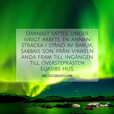 Picture 07 - Nehemja 3:20 SV1917 - Därnäst sattes, under ivrigt arbete, en annan - Bible Verse Picture