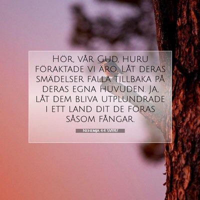 Picture 07 - Nehemja 4:4 SV1917 - Hör, vår Gud, huru föraktade vi äro. Låt - Bible Verse Picture