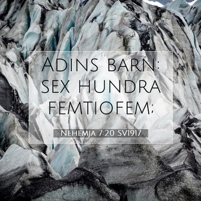 Picture 07 - Nehemja 7:20 SV1917 - Adins barn: sex hundra - Bible Verse Picture