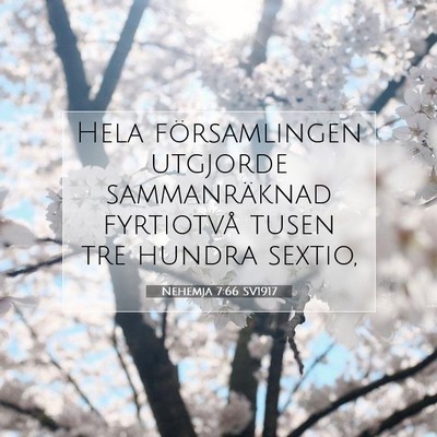 Picture 07 - Nehemja 7:66 SV1917 - Hela församlingen utgjorde sammanräknad - Bible Verse Picture
