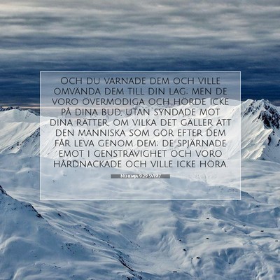 Picture 07 - Nehemja 9:29 SV1917 - Och du varnade dem och ville omvända dem till - Bible Verse Picture