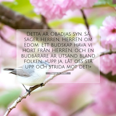 Picture 07 - Obadja 1:1 SV1917 - Detta är Obadjas syn. Så säger Herren, HERREN - Bible Verse Picture