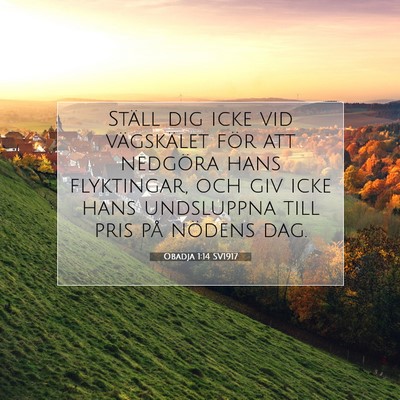 Picture 07 - Obadja 1:14 SV1917 - Ställ dig icke vid vägskälet för att nedgöra - Bible Verse Picture