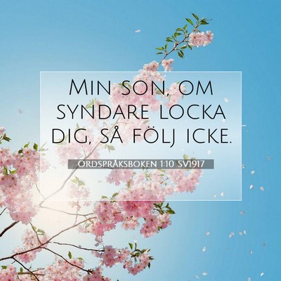 Picture 07 - Ordspråksboken 1:10 SV1917 - Min son, om syndare locka dig, så följ - Bible Verse Picture