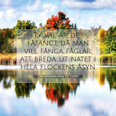 Picture 07 - Ordspråksboken 1:17 SV1917 - Ty väl är det fåfängt, då man vill fånga - Bible Verse Picture