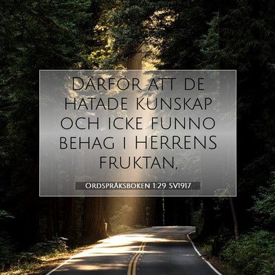 Picture 07 - Ordspråksboken 1:29 SV1917 - Därför att de hatade kunskap och icke funno - Bible Verse Picture
