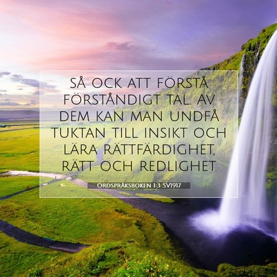 Picture 07 - Ordspråksboken 1:3 SV1917 - så ock att förstå förståndigt tal. Av dem - Bible Verse Picture